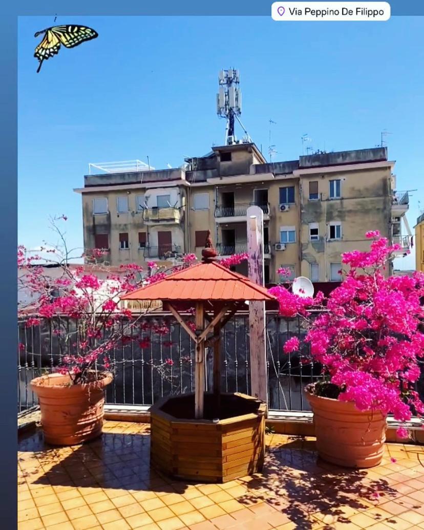 Blessing House Appartamento *